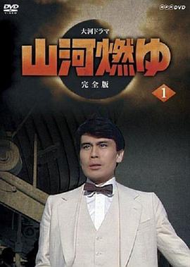 山河燃烧 (1984) 海报