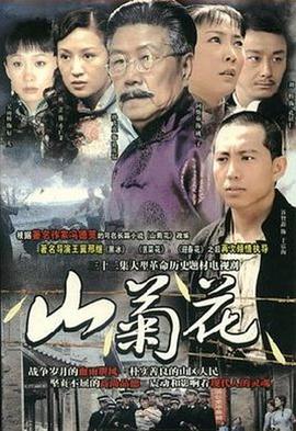 山菊花2009 (2009) 海报
