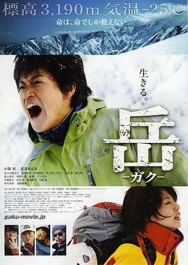 岳：冰峰救援 (2011) 海报