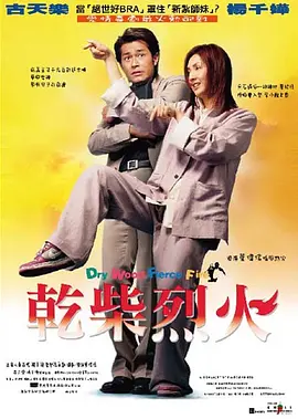 干柴烈火2002[电影解说] (2002) 海报