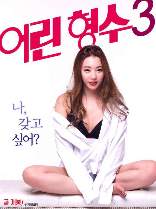 年轻的嫂子3 (2017) 海报