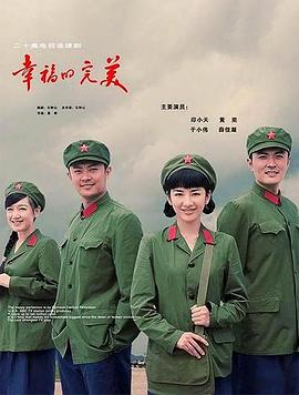 幸福的完美 (2009) 海报