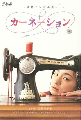 康乃馨 (2011) 海报