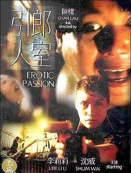 引郎入室 (1993) 海报