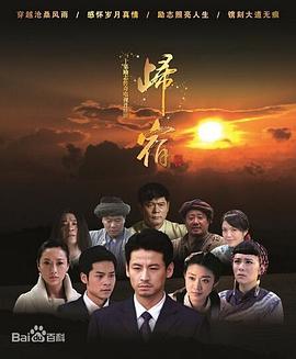 归宿2025 (2012) 海报