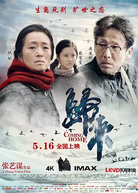 归来2014[电影解说] (2014) 海报