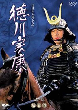 德川家康 (1983) 海报