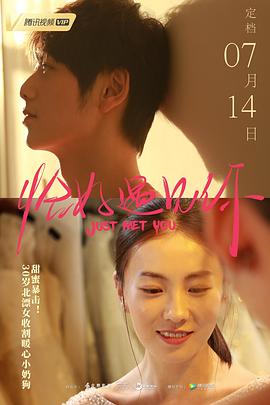 恰好遇见你 (2019) 海报