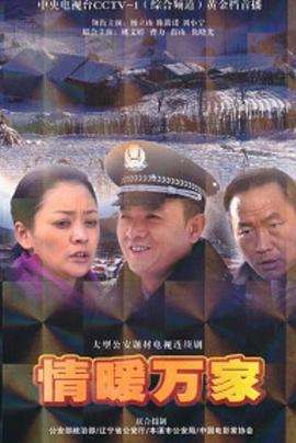 情暖万家 (2011) 海报