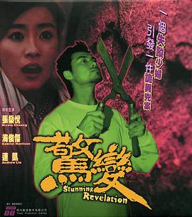 惊变2004 (2004) 海报