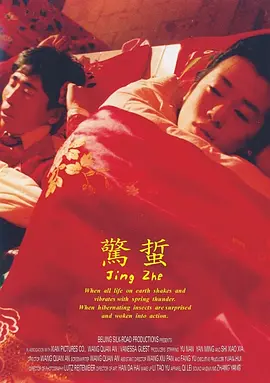 惊蛰2004[电影解说] (2004) 海报