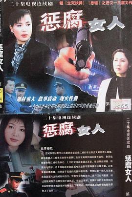 惩腐女人 (2004) 海报