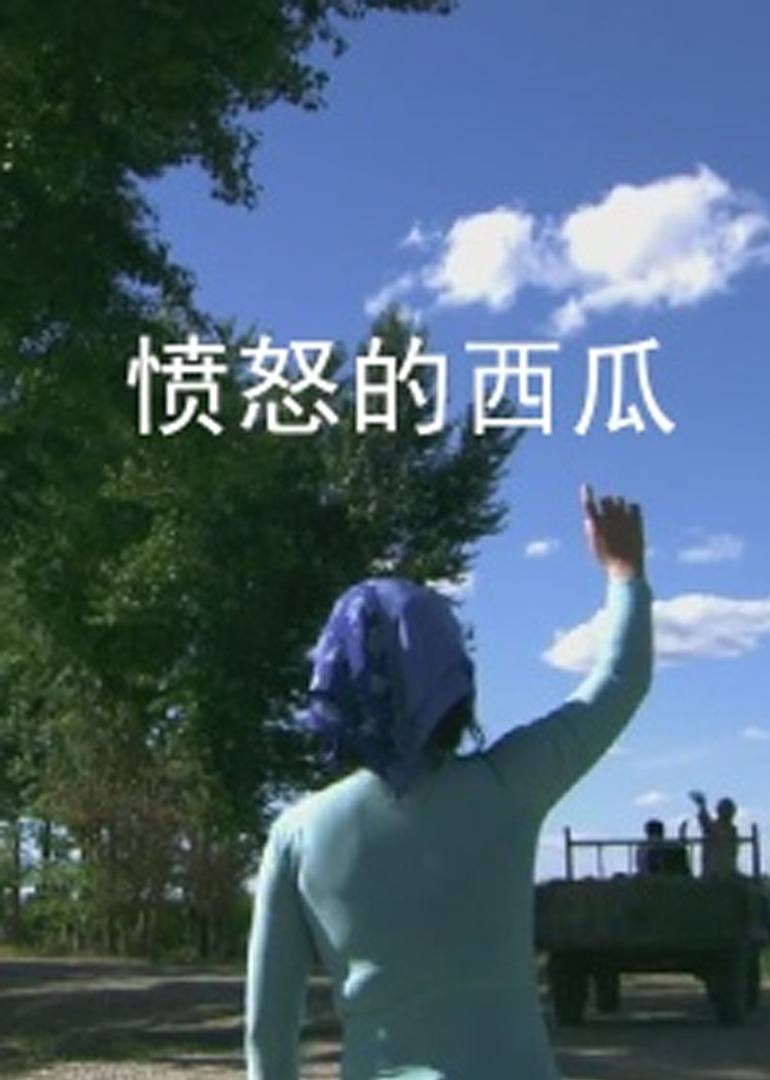 愤怒的西瓜 (2011) 海报