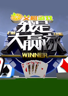 我是大赢家2014 (2014) 海报