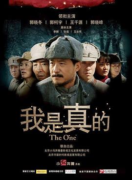 我是真的 (2011) 海报