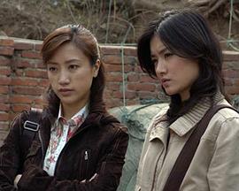 我的刑警朋友 (2010) 海报