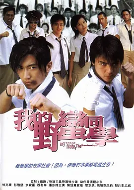 我的野蛮同学[电影解说] (2001) 海报