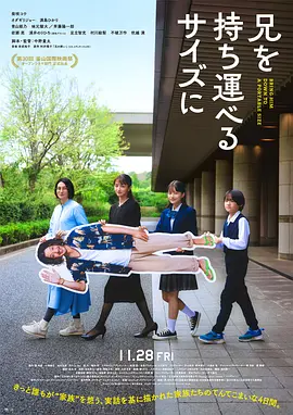 把哥哥带走 (2025) 海报