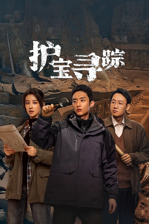 护宝寻踪 (2025) 海报