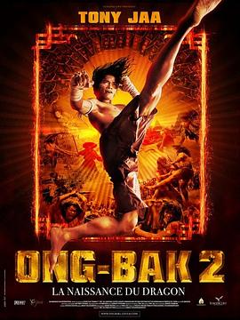 拳霸2 (2008) 海报