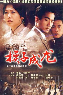 换子成龙 (2007) 海报