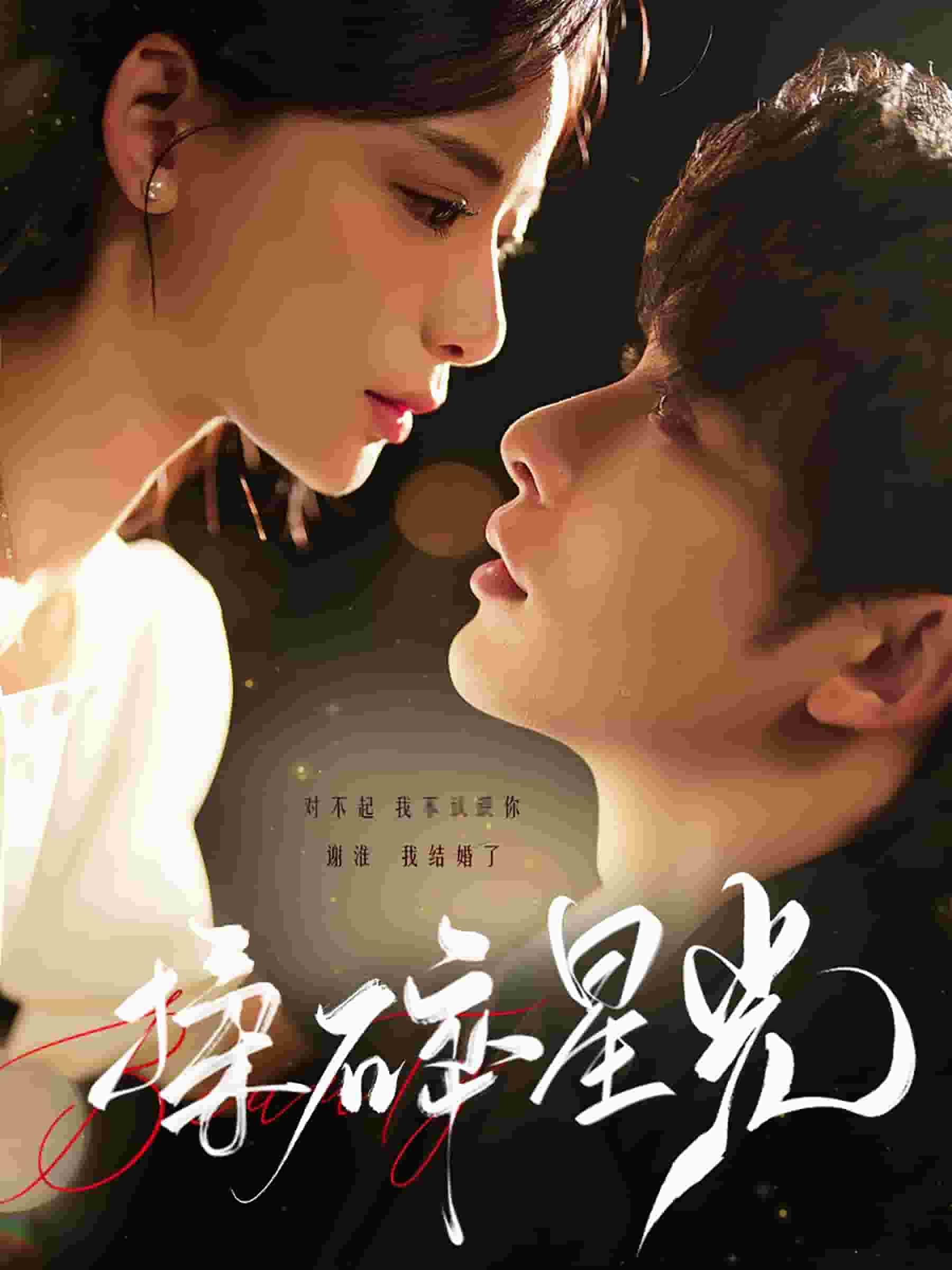 揉碎星光 (2025) 海报