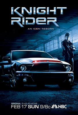 新霹雳游侠第一季 (2008) 海报