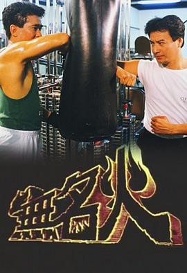 无名火国语 (1988) 海报