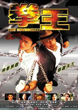 无敌拳王 (2003) 海报