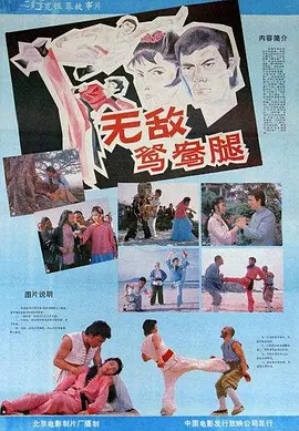 无敌鸳鸯腿[电影解说] (1988) 海报