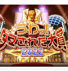 日本整人大赏 2024年冬季3小时SP (2024) 海报