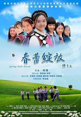 春蕾绽放 (2010) 海报