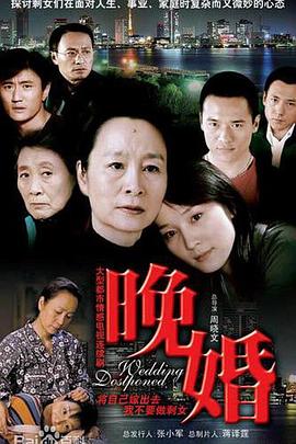 晚婚2009 (2009) 海报