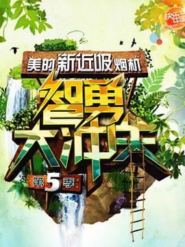 智勇大冲关第五季 (2011) 海报