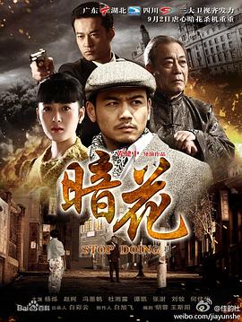 暗花 (2012) 海报