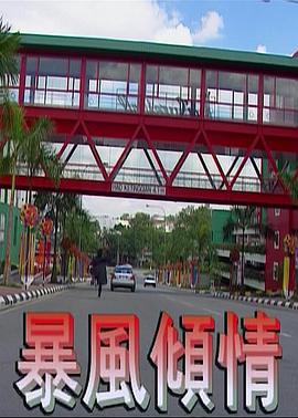 暴风倾情 (1995) 海报