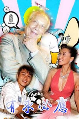 有求必应国语 (2001) 海报