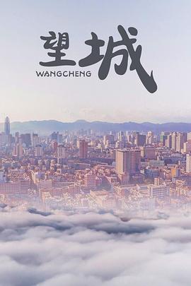 望城 (2010) 海报