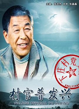村官普发兴 (2010) 海报