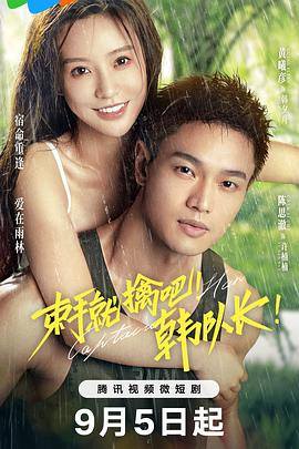 束手就擒吧！韩队长 (2023) 海报