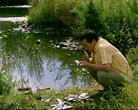 来福，来福 (2011) 海报