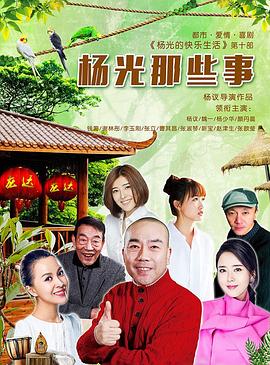 杨光那些事 (2016) 海报