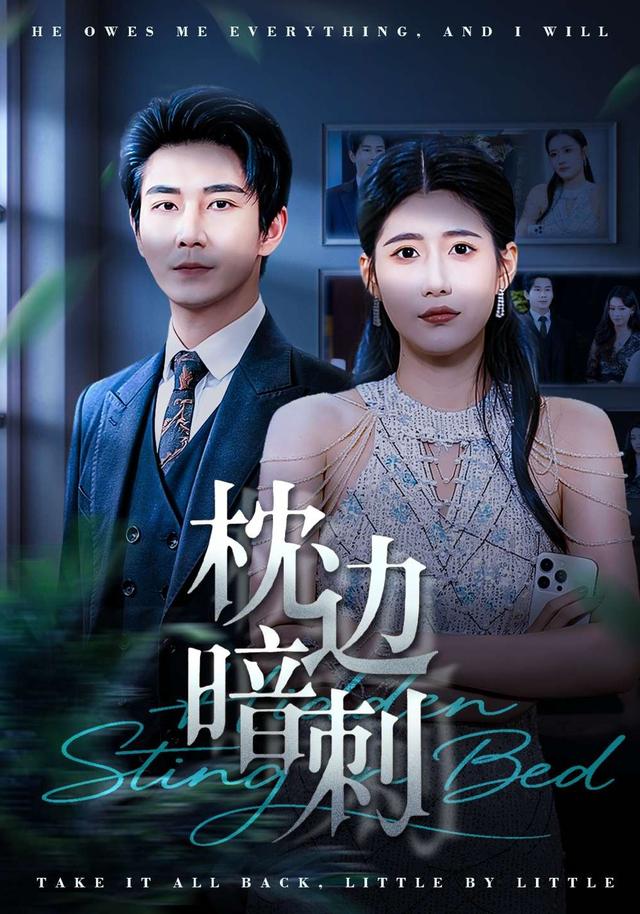 枕边暗刺 (2026) 海报