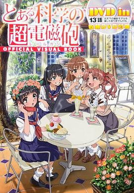 某科学的超电磁炮OVA：炎炎酷日下做摄影模特也不轻松啊 (2010) 海报