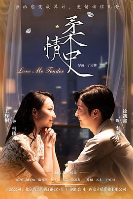 柔情史2025 (2025) 海报