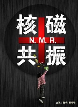 核磁共振 (2011) 海报