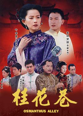 桂花巷 (2002) 海报