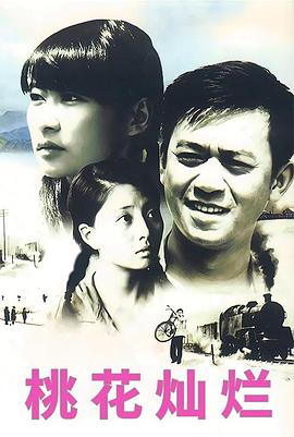桃花灿烂2007 (2007) 海报