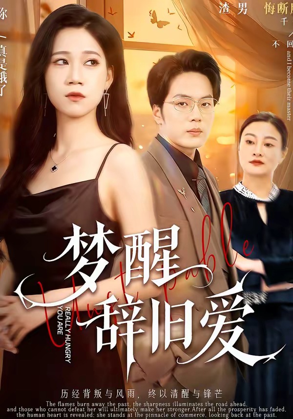 梦醒辞旧爱 (2026) 海报