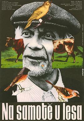 森林边缘的寂寞 (1976) 海报